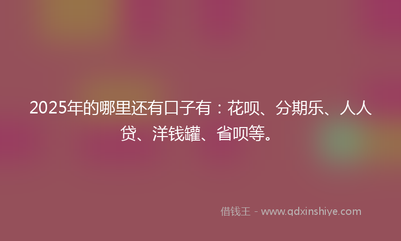 2025年的哪里还有口子有：花呗、分期乐、人人贷、洋钱罐、省呗等。