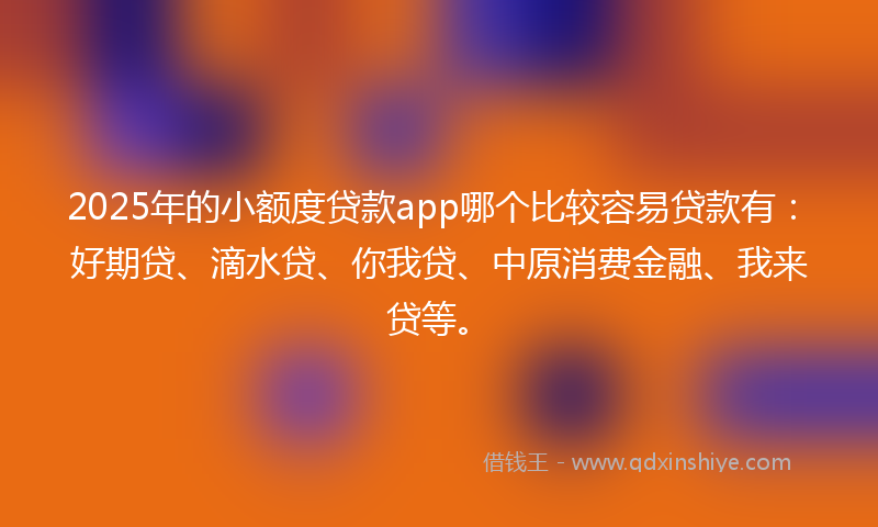 2025年的小额度贷款app哪个比较容易贷款有：好期贷、滴水贷、你我贷、中原消费金融、我来贷等。