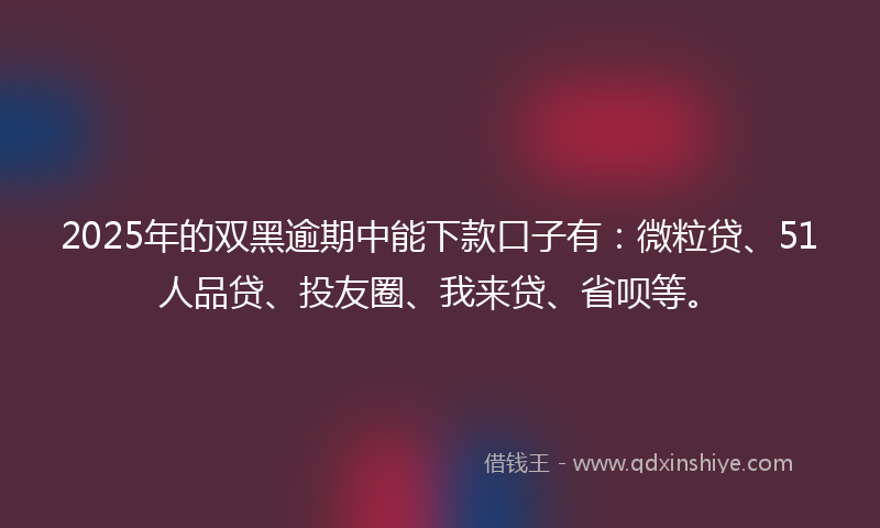 2025年的双黑逾期中能下款口子有：微粒贷、51人品贷、投友圈、我来贷、省呗等。