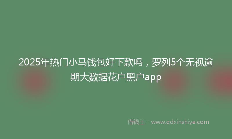 2025年热门小马钱包好下款吗，罗列5个无视逾期大数据花户黑户app