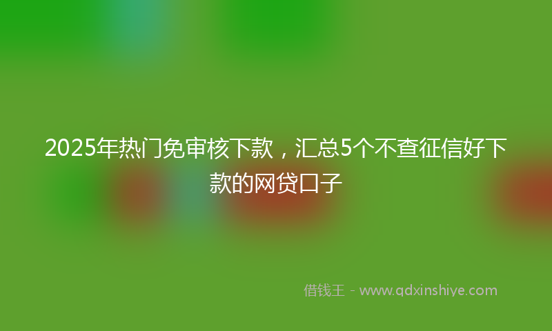 2025年热门免审核下款，汇总5个不查征信好下款的网贷口子