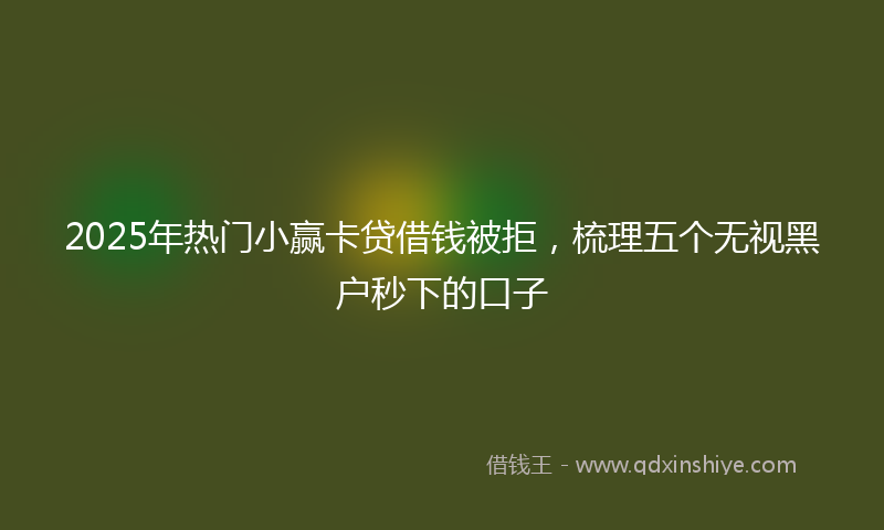 2025年热门小赢卡贷借钱被拒，梳理五个无视黑户秒下的口子