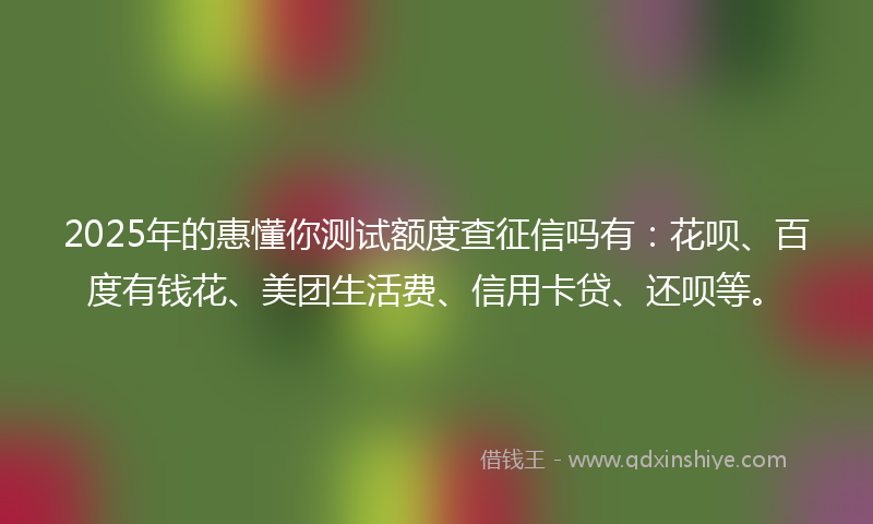2025年的惠懂你测试额度查征信吗有：花呗、百度有钱花、美团生活费、信用卡贷、还呗等。