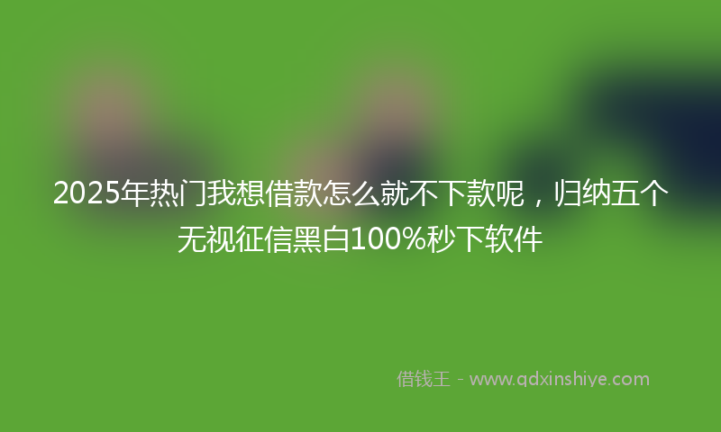 2025年热门我想借款怎么就不下款呢，归纳五个无视征信黑白100%秒下软件