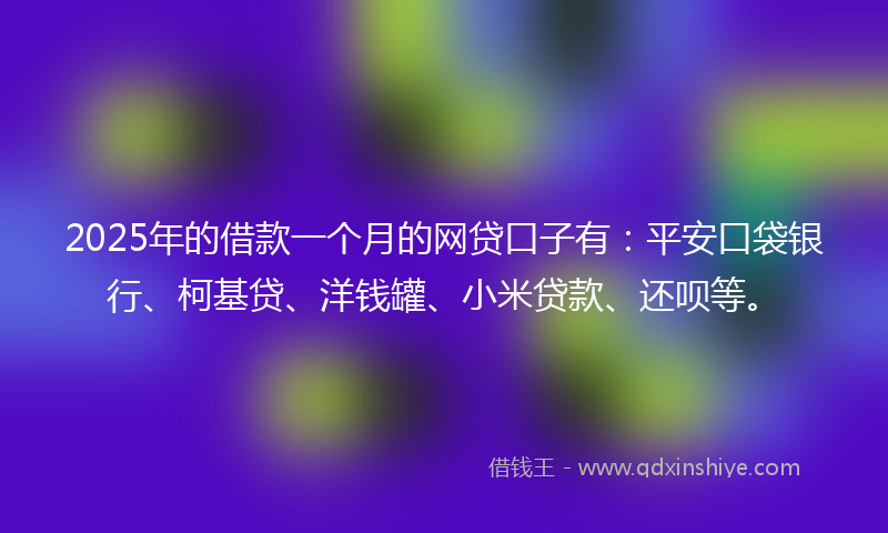 2025年的借款一个月的网贷口子有：平安口袋银行、柯基贷、洋钱罐、小米贷款、还呗等。