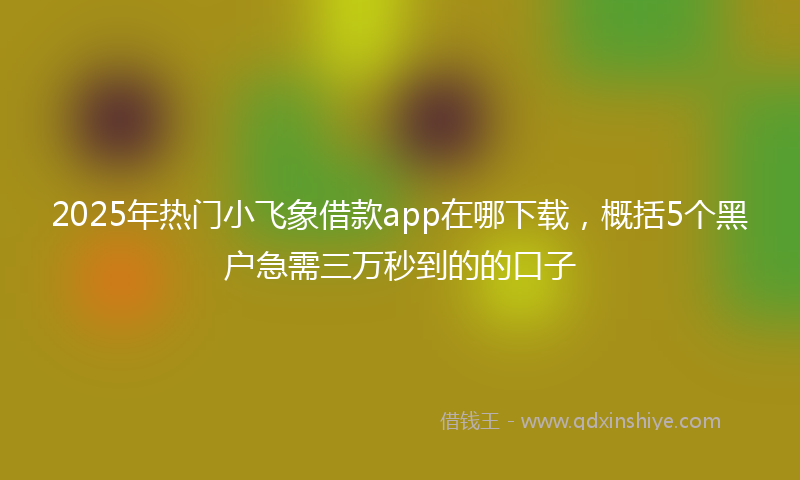 2025年热门小飞象借款app在哪下载，概括5个黑户急需三万秒到的的口子