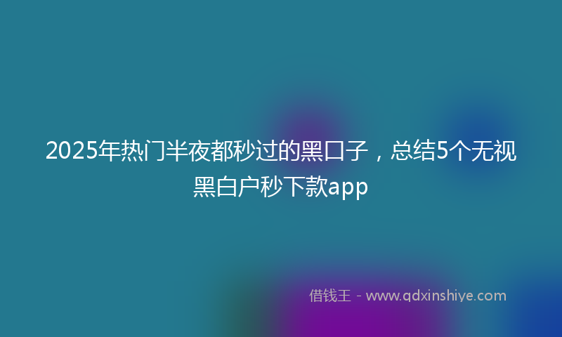 2025年热门半夜都秒过的黑口子，总结5个无视黑白户秒下款app