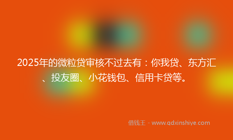 2025年的微粒贷审核不过去有：你我贷、东方汇、投友圈、小花钱包、信用卡贷等。