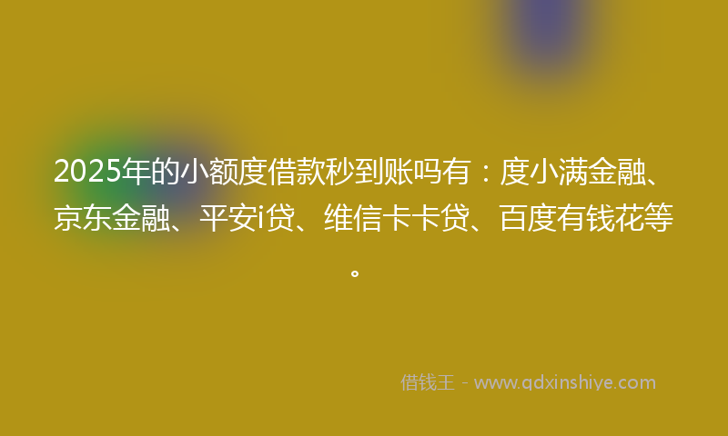 2025年的小额度借款秒到账吗有：度小满金融、京东金融、平安i贷、维信卡卡贷、百度有钱花等。