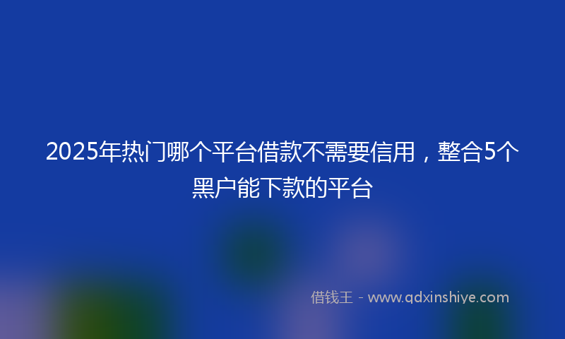 2025年热门哪个平台借款不需要信用，整合5个黑户能下款的平台