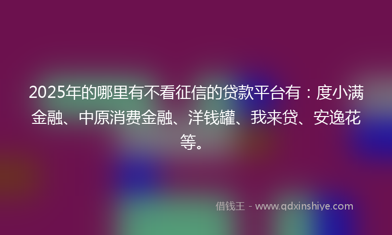 2025年的哪里有不看征信的贷款平台有：度小满金融、中原消费金融、洋钱罐、我来贷、安逸花等。