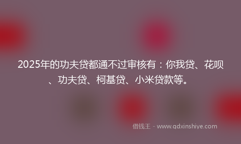 2025年的功夫贷都通不过审核有：你我贷、花呗、功夫贷、柯基贷、小米贷款等。