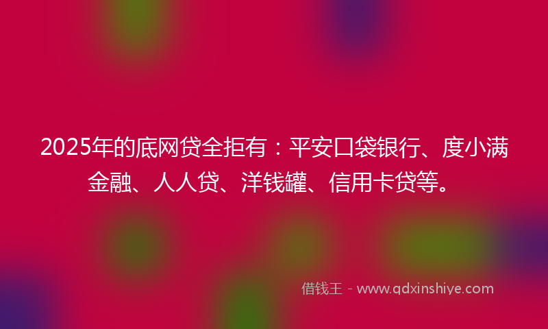 2025年的底网贷全拒有：平安口袋银行、度小满金融、人人贷、洋钱罐、信用卡贷等。