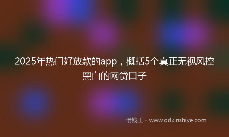 2025年热门好放款的app，概括5个真正无视风控黑白的网贷口子