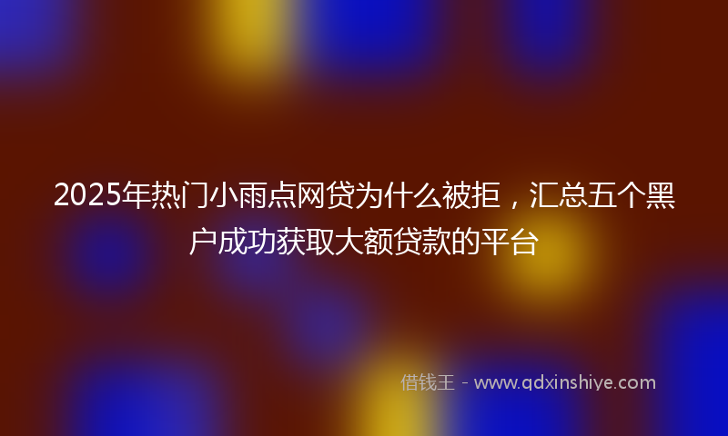2025年热门小雨点网贷为什么被拒，汇总五个黑户成功获取大额贷款的平台