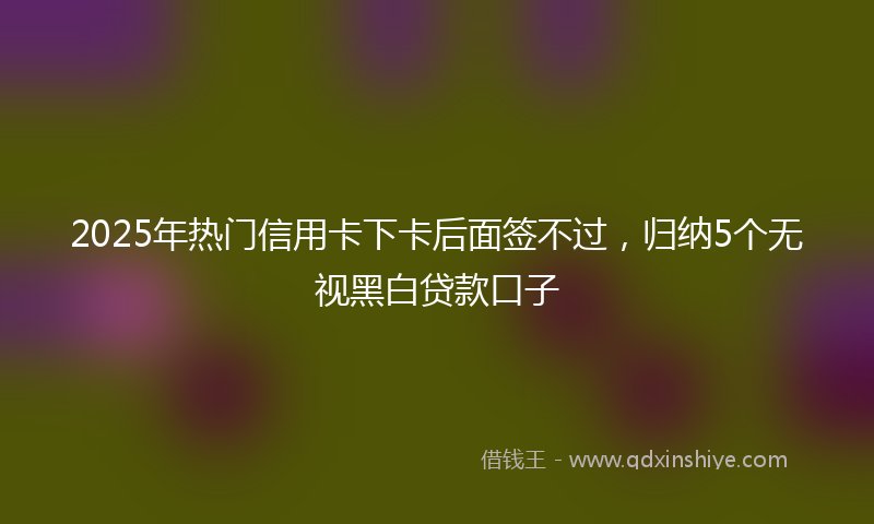 2025年热门信用卡下卡后面签不过，归纳5个无视黑白贷款口子