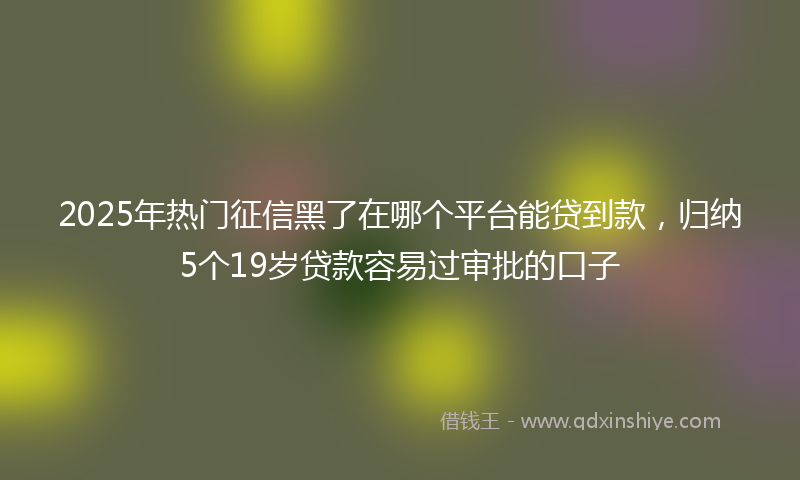 2025年热门征信黑了在哪个平台能贷到款，归纳5个19岁贷款容易过审批的口子