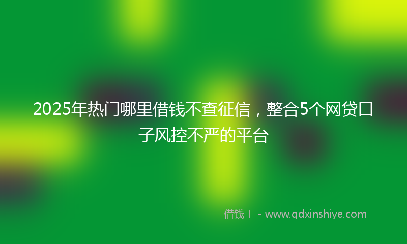 2025年热门哪里借钱不查征信，整合5个网贷口子风控不严的平台