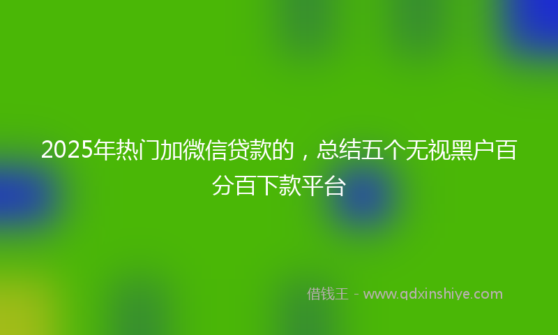 2025年热门加微信贷款的，总结五个无视黑户百分百下款平台