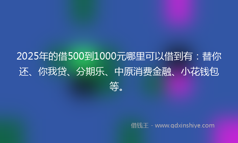 2025年的借500到1000元哪里可以借到有：替你还、你我贷、分期乐、中原消费金融、小花钱包等。