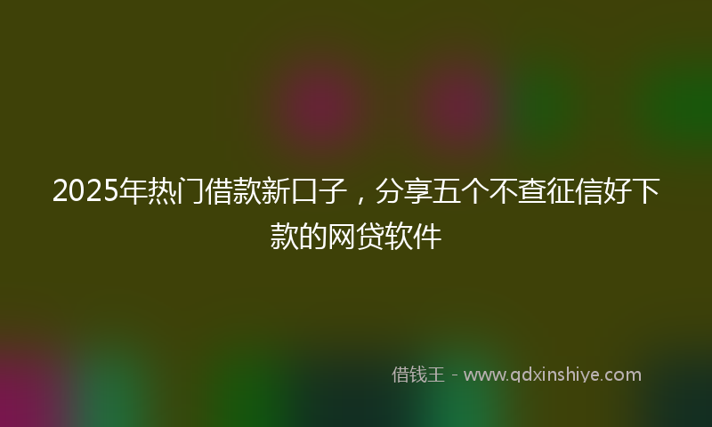 2025年热门借款新口子，分享五个不查征信好下款的网贷软件