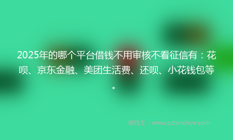 2025年的哪个平台借钱不用审核不看征信有：花呗、京东金融、美团生活费、还呗、小花钱包等。