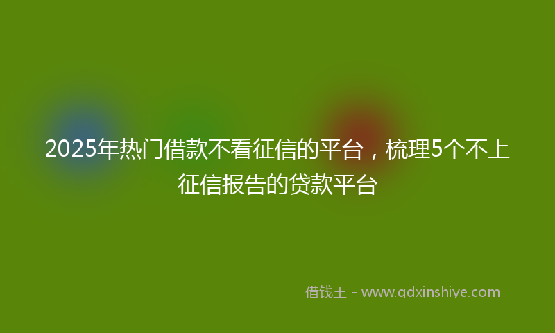 2025年热门借款不看征信的平台，梳理5个不上征信报告的贷款平台