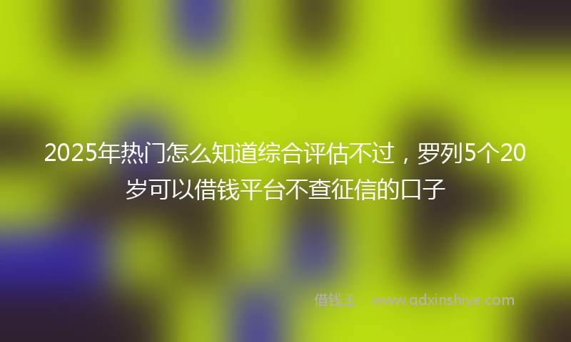 2025年热门怎么知道综合评估不过，罗列5个20岁可以借钱平台不查征信的口子