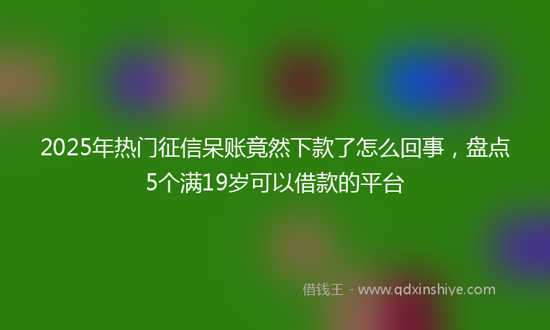 2025年热门征信呆账竟然下款了怎么回事，盘点5个满19岁可以借款的平台