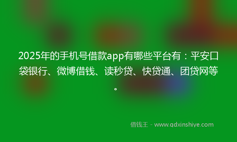 2025年的手机号借款app有哪些平台有：平安口袋银行、微博借钱、读秒贷、快贷通、团贷网等。