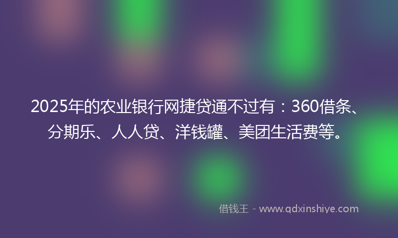 2025年的农业银行网捷贷通不过有：360借条、分期乐、人人贷、洋钱罐、美团生活费等。