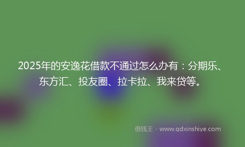 2025年的安逸花借款不通过怎么办有：分期乐、东方汇、投友圈、拉卡拉、我来贷等。