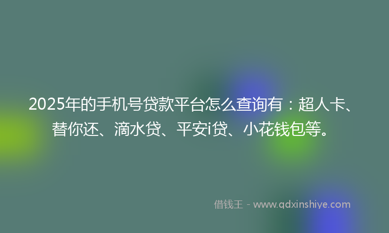 2025年的手机号贷款平台怎么查询有：超人卡、替你还、滴水贷、平安i贷、小花钱包等。