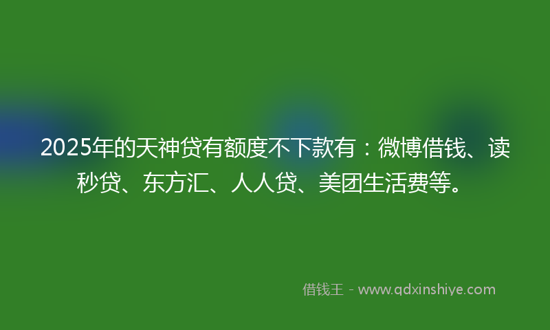 2025年的天神贷有额度不下款有：微博借钱、读秒贷、东方汇、人人贷、美团生活费等。