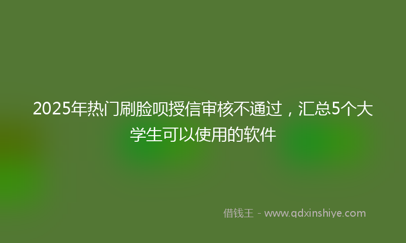 2025年热门刷脸呗授信审核不通过，汇总5个大学生可以使用的软件