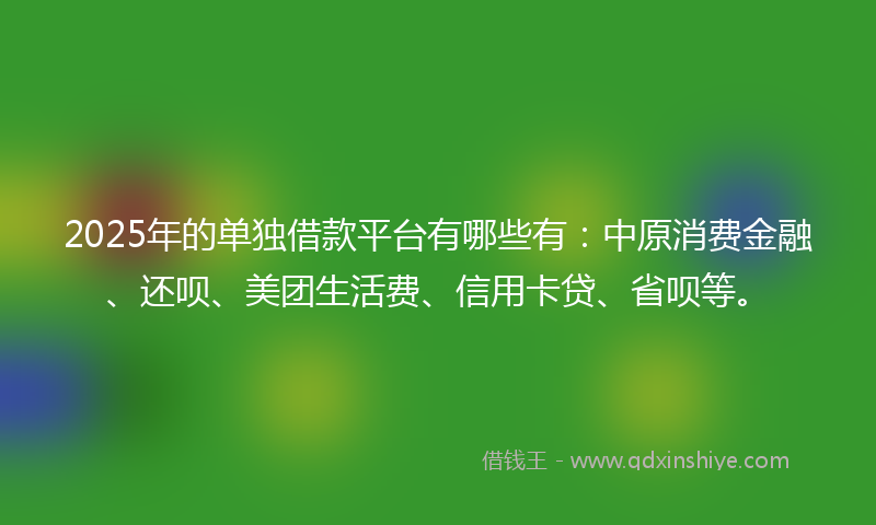 2025年的单独借款平台有哪些有：中原消费金融、还呗、美团生活费、信用卡贷、省呗等。