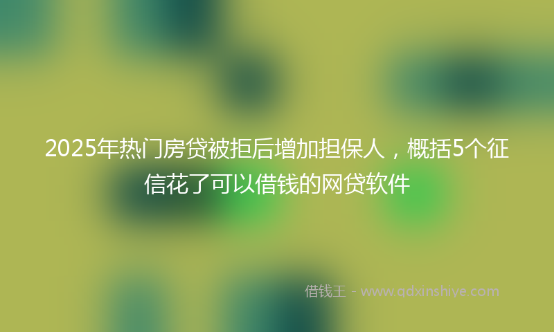 2025年热门房贷被拒后增加担保人，概括5个征信花了可以借钱的网贷软件