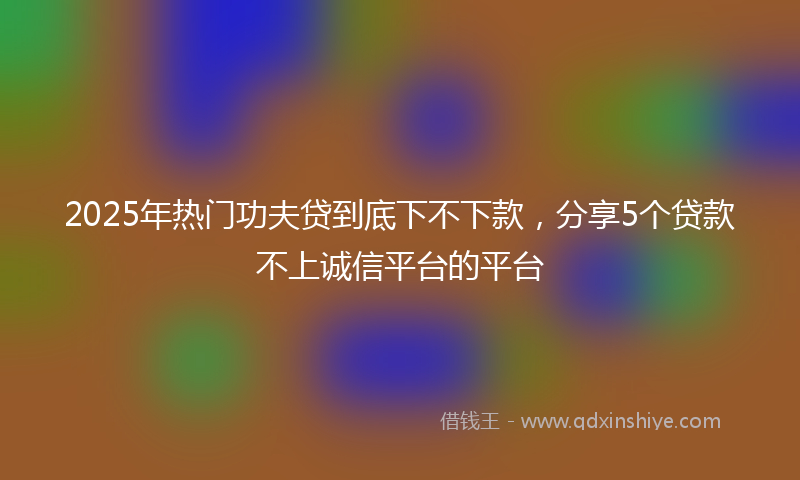 2025年热门功夫贷到底下不下款，分享5个贷款不上诚信平台的平台