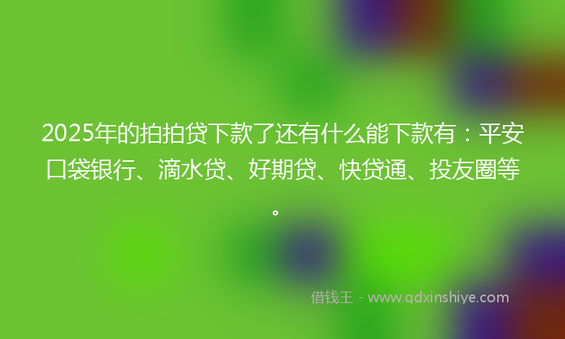 2025年的拍拍贷下款了还有什么能下款有：平安口袋银行、滴水贷、好期贷、快贷通、投友圈等。
