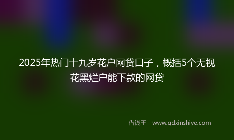 2025年热门十九岁花户网贷口子，概括5个无视花黑烂户能下款的网贷
