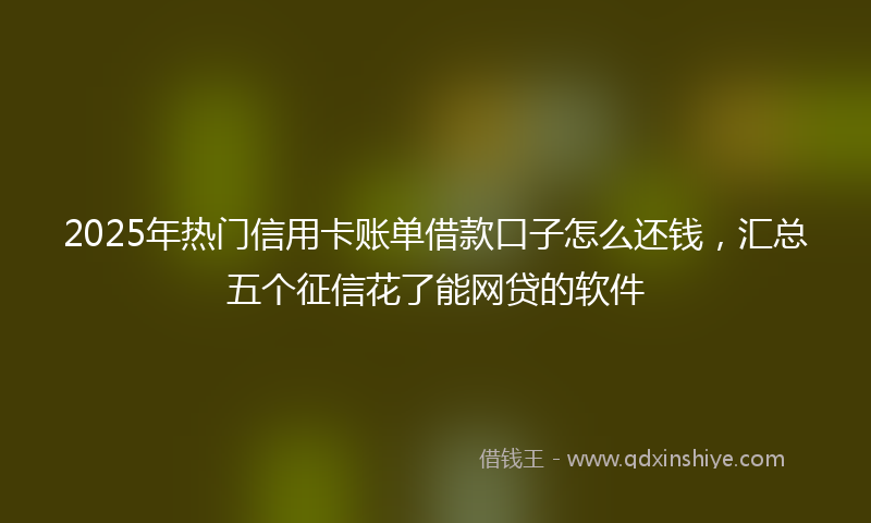 2025年热门信用卡账单借款口子怎么还钱，汇总五个征信花了能网贷的软件
