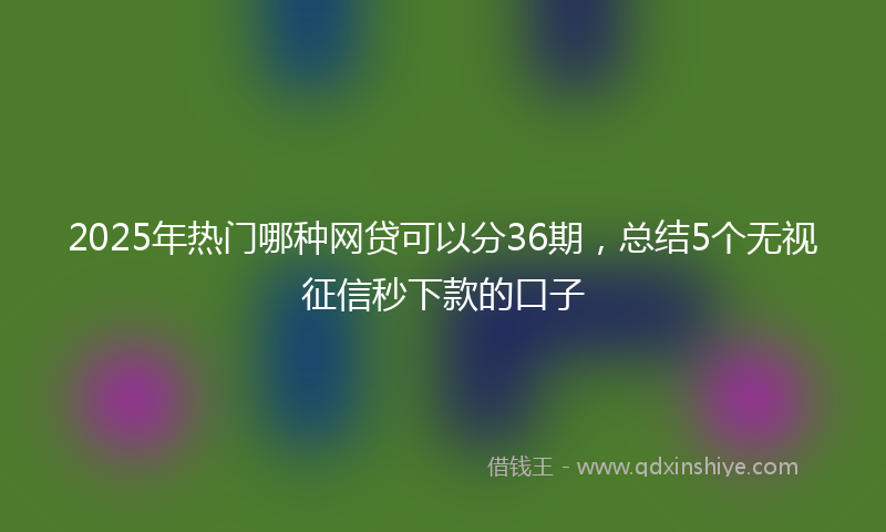 2025年热门哪种网贷可以分36期，总结5个无视征信秒下款的口子