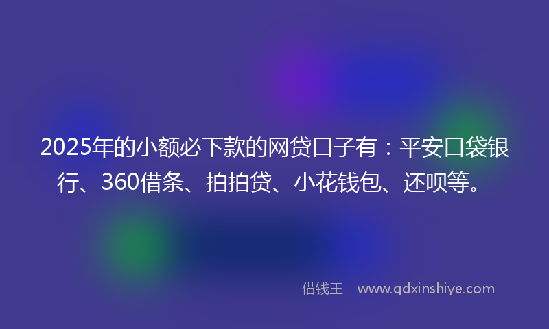 2025年的小额必下款的网贷口子有：平安口袋银行、360借条、拍拍贷、小花钱包、还呗等。
