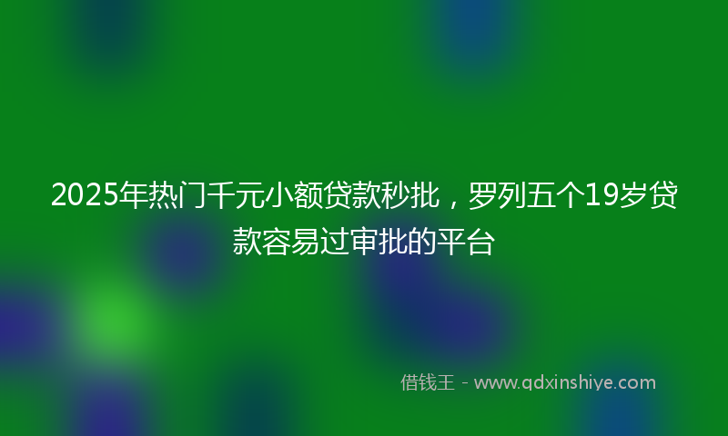 2025年热门千元小额贷款秒批，罗列五个19岁贷款容易过审批的平台