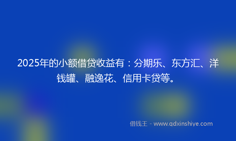 2025年的小额借贷收益有：分期乐、东方汇、洋钱罐、融逸花、信用卡贷等。
