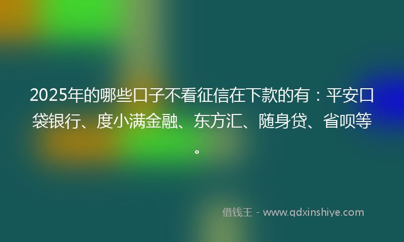 2025年的哪些口子不看征信在下款的有：平安口袋银行、度小满金融、东方汇、随身贷、省呗等。