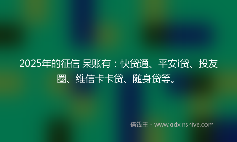 2025年的征信 呆账有：快贷通、平安i贷、投友圈、维信卡卡贷、随身贷等。
