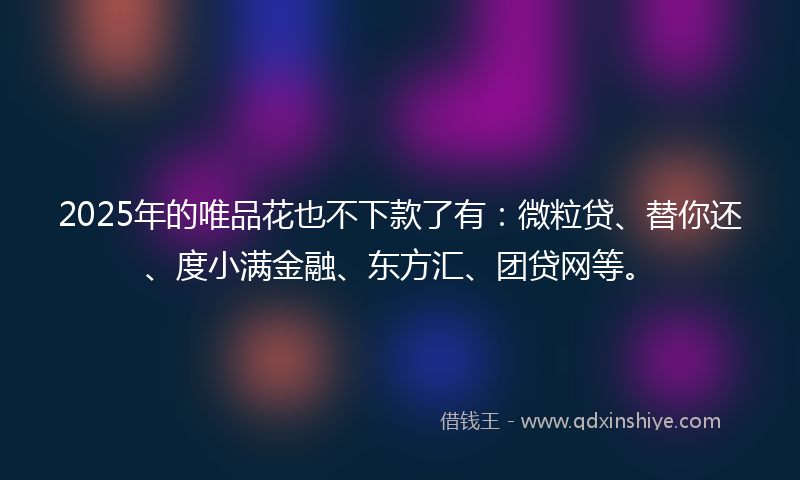2025年的唯品花也不下款了有：微粒贷、替你还、度小满金融、东方汇、团贷网等。