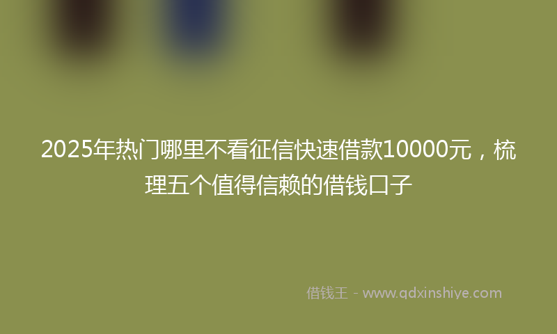 2025年热门哪里不看征信快速借款10000元，梳理五个值得信赖的借钱口子