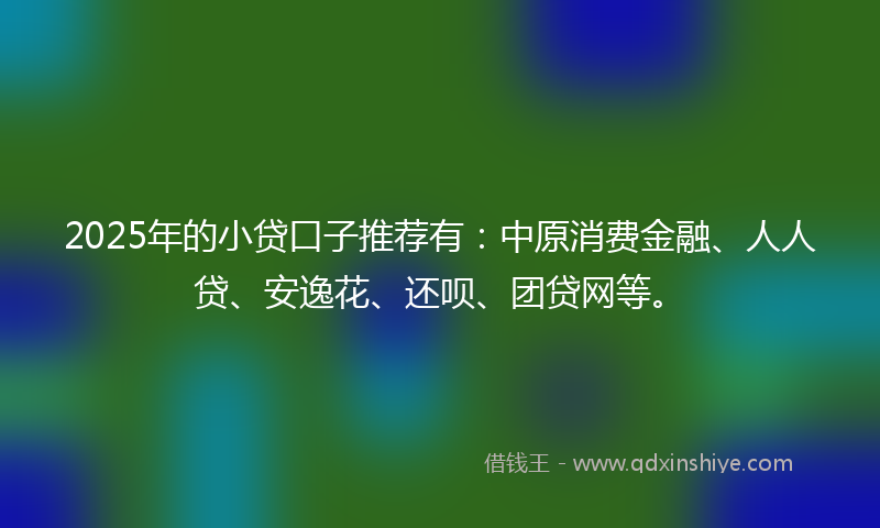 2025年的小贷口子推荐有：中原消费金融、人人贷、安逸花、还呗、团贷网等。